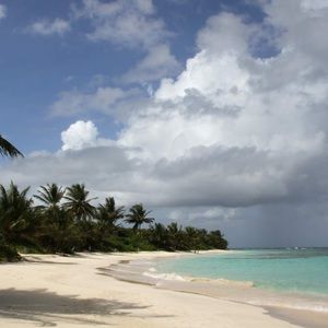 Meet your Posher, Madelynn